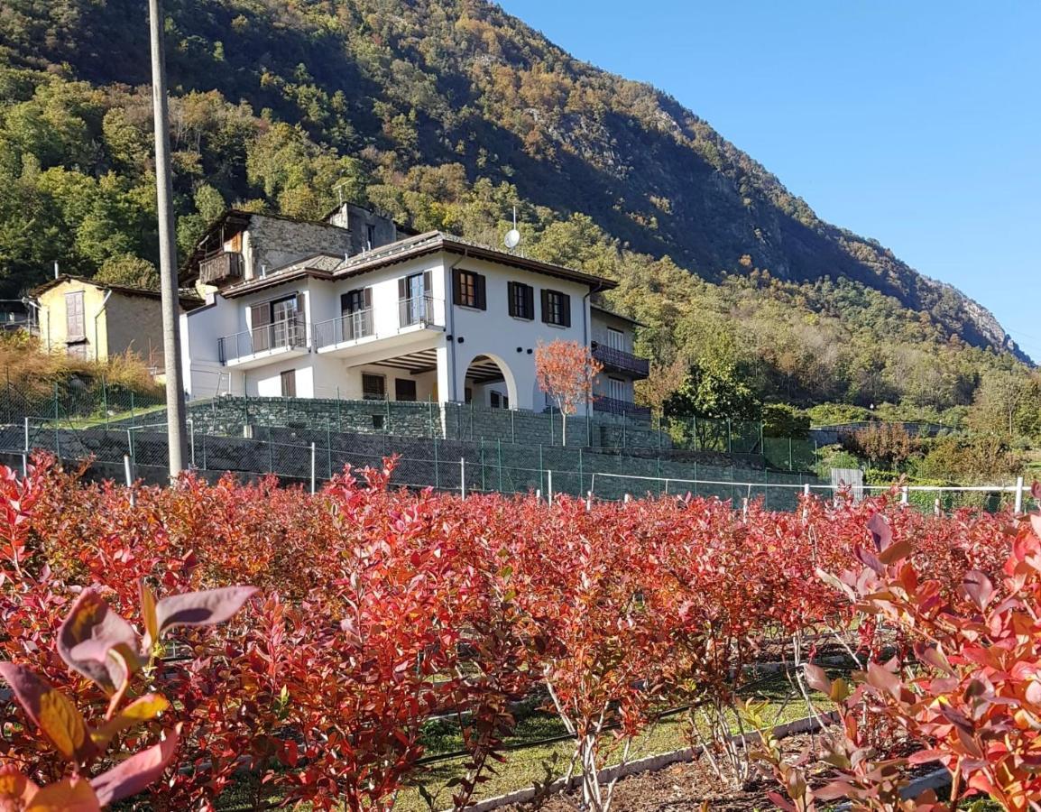 Guest House Le Cassandre Sondrio Eksteriør bilde